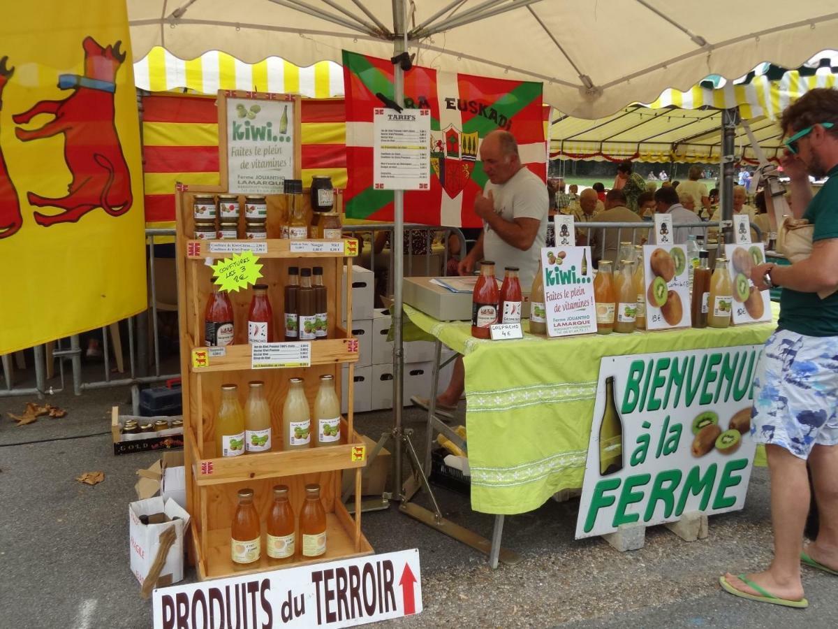 Le Pelerine Βίλα Sauveterre-de-Bearn Εξωτερικό φωτογραφία